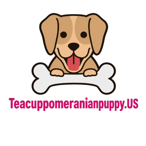 Teacuppomeranianpuppy.us